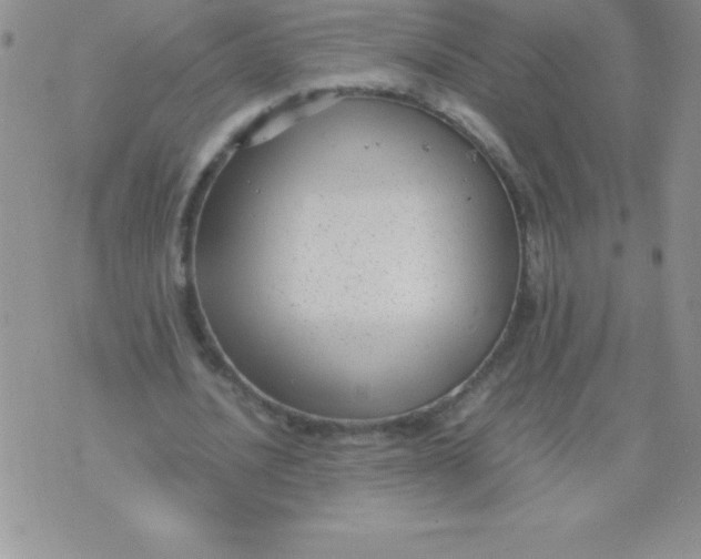 X0000071950628200607282009