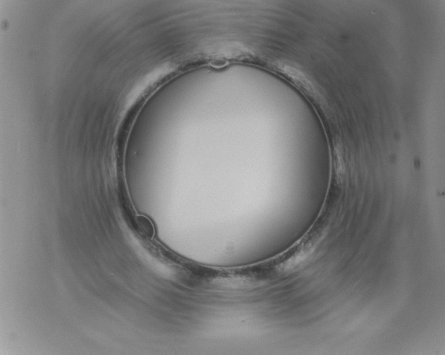 X0000071950630200607282009