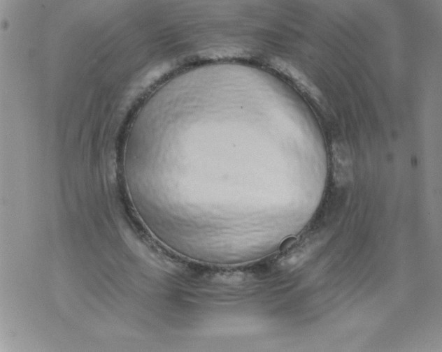 X0000071950631200607282009