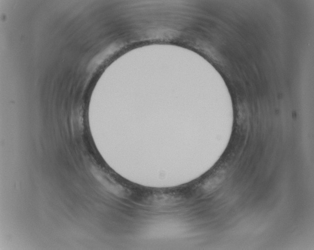 X0000071950632200607282009