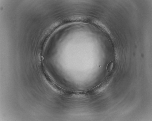 X0000071950633200607282009