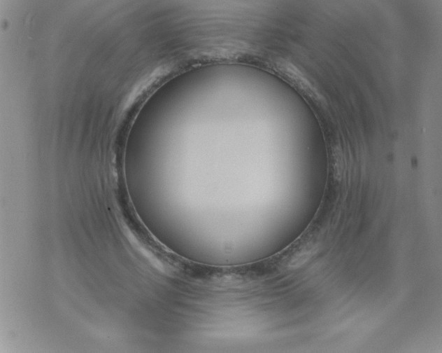 X0000071950634200607282009