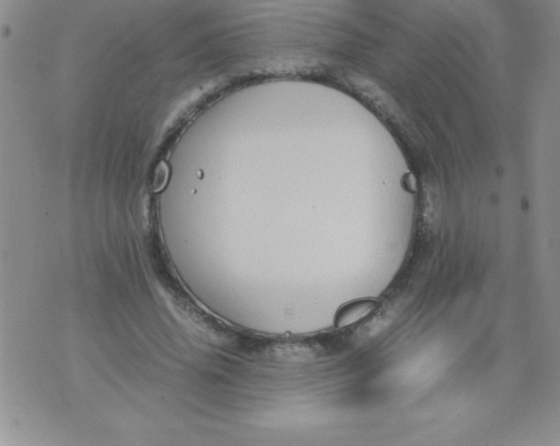 X0000071950636200607282009