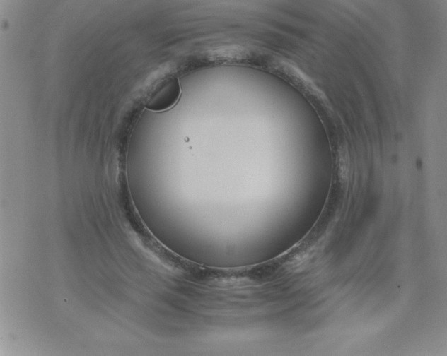 X0000071950637200607282009