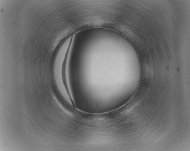 X0000071950638200607282009