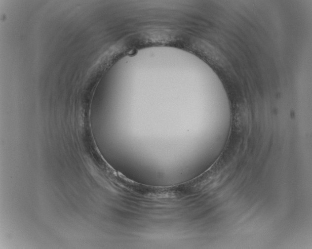 X0000071950639200607282009