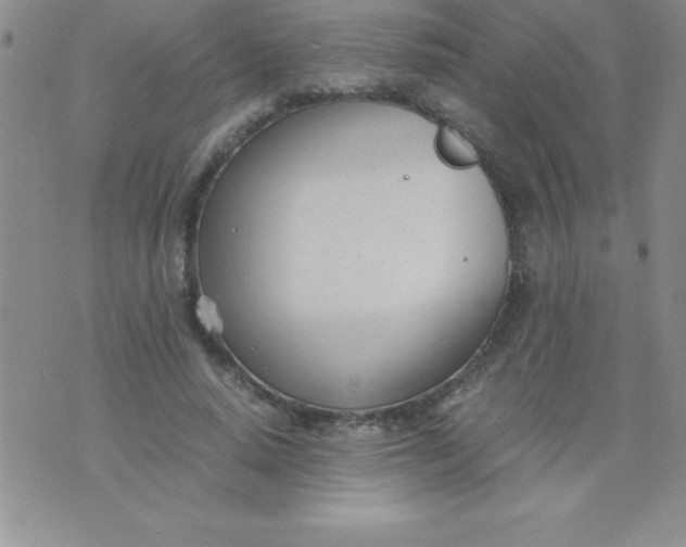 X0000071950640200607282009