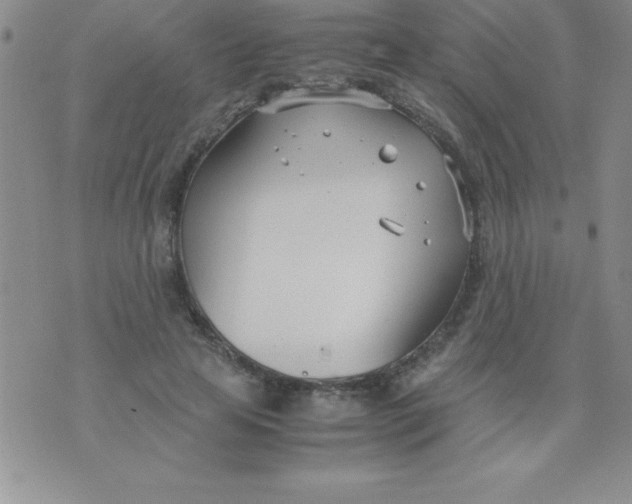 X0000071950641200607282009