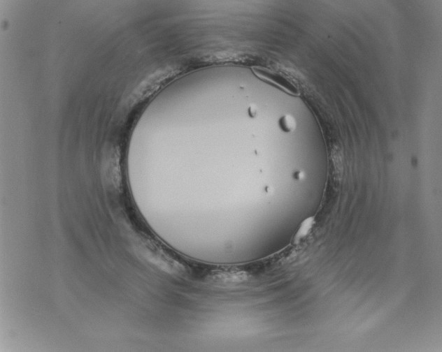 X0000071950642200607282009