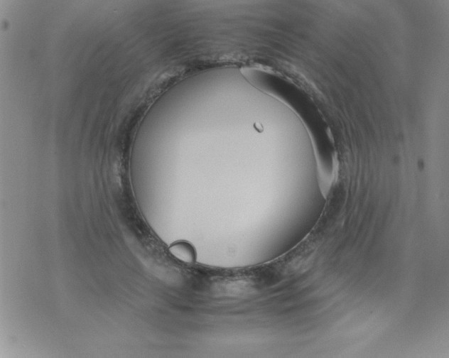 X0000071950643200607282009