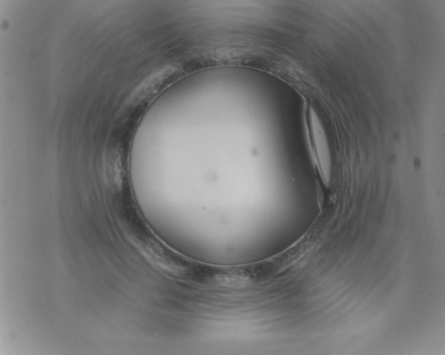 X0000071950644200607282009