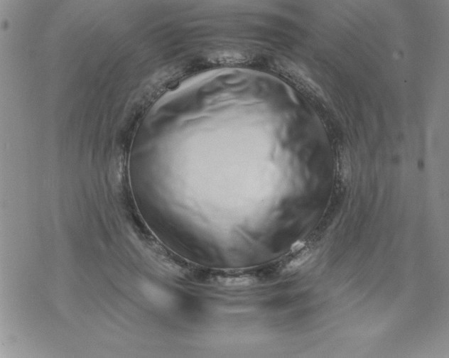 X0000071950645200607282009