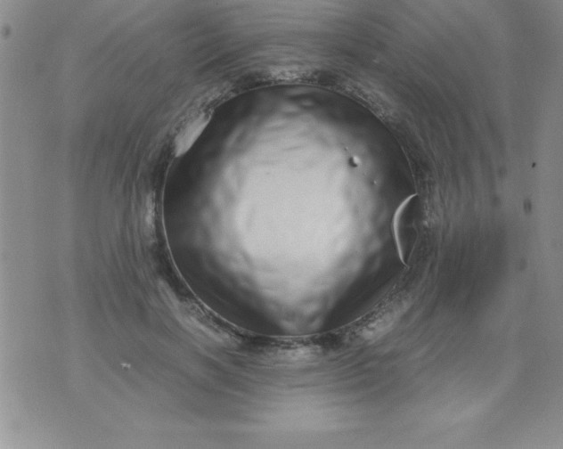 X0000071950646200607282009