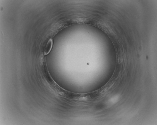 X0000071950647200607282009