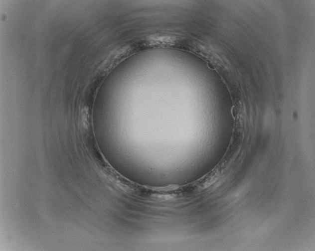 X0000071950649200607282009