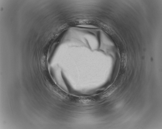 X0000071950650200607282009