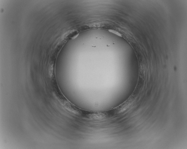 X0000071950652200607282009