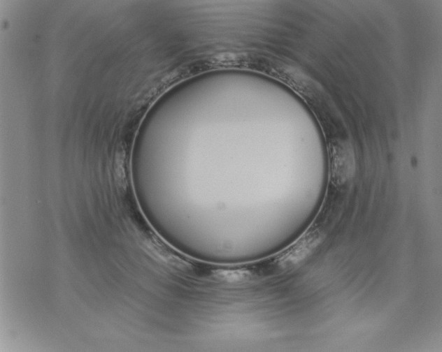 X0000071950654200607282009