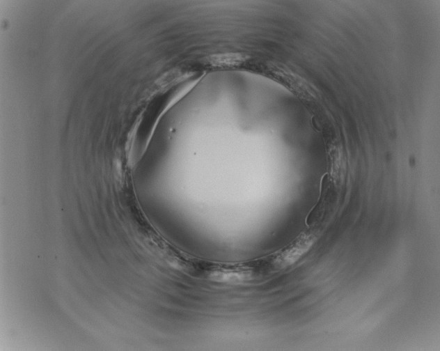 X0000071950655200607282009