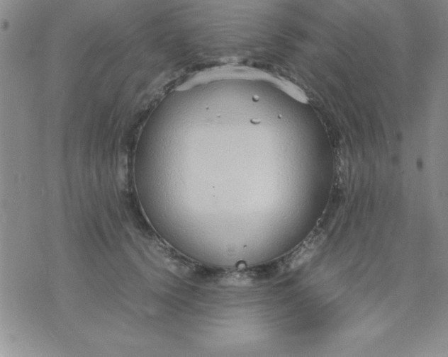 X0000071950656200607282009