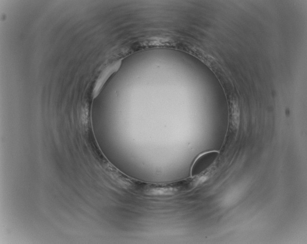 X0000071950657200607282009