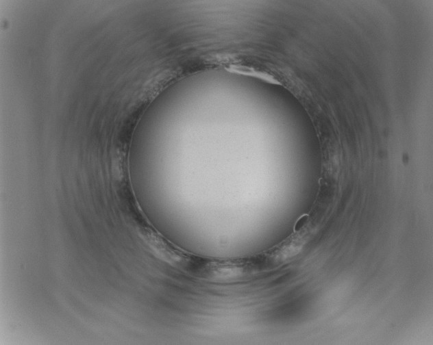 X0000071950658200607282009