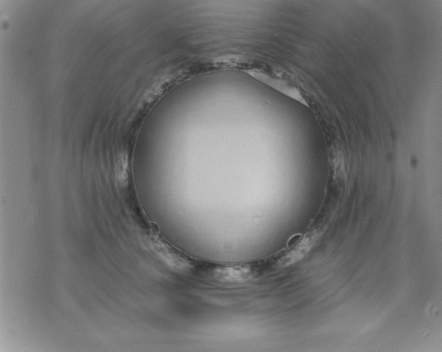 X0000071950660200607282009