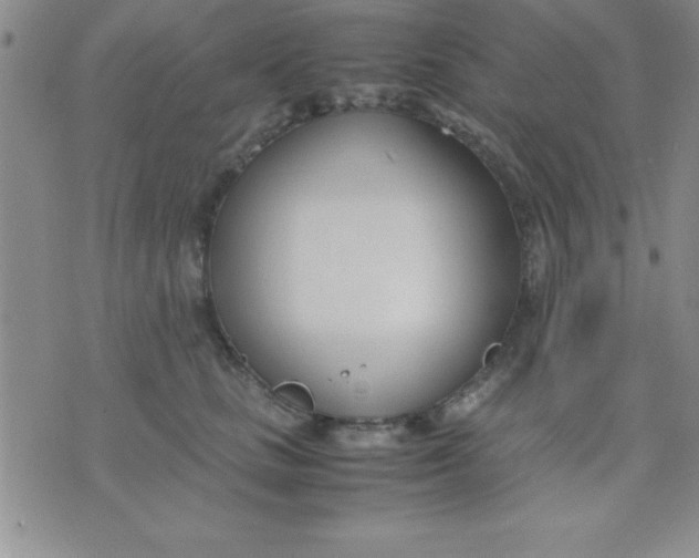 X0000071950661200607282009