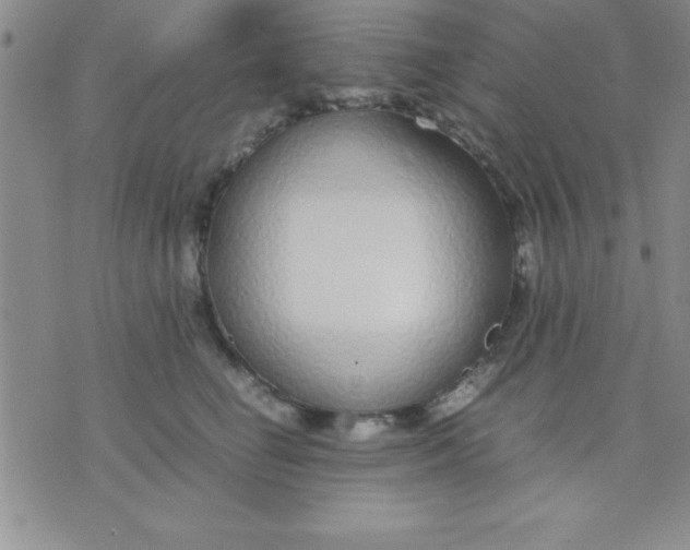 X0000071950662200607282009