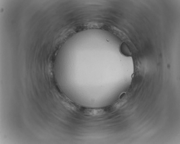 X0000071950663200607282009