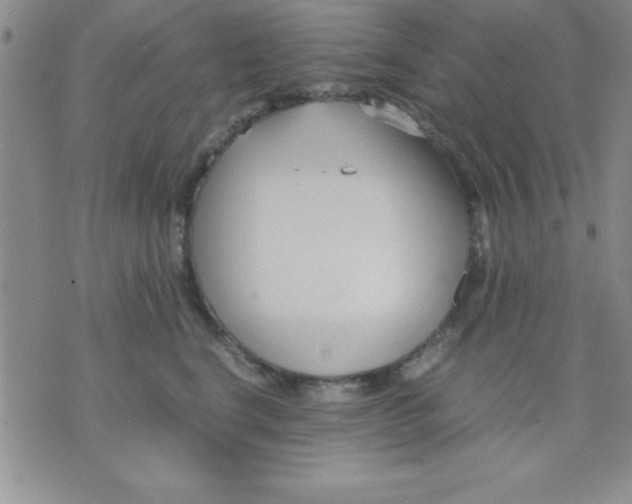 X0000071950664200607282010