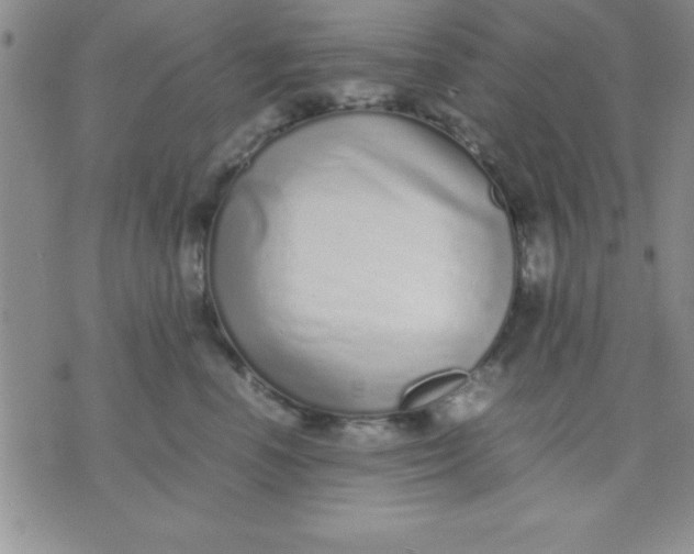 X0000071950666200607282010