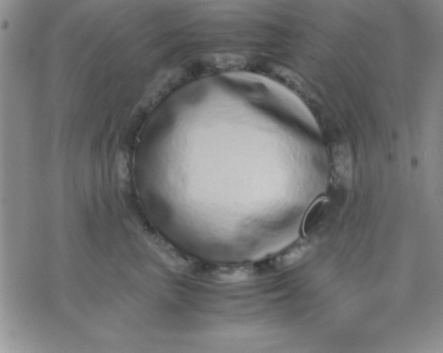 X0000071950667200607282010