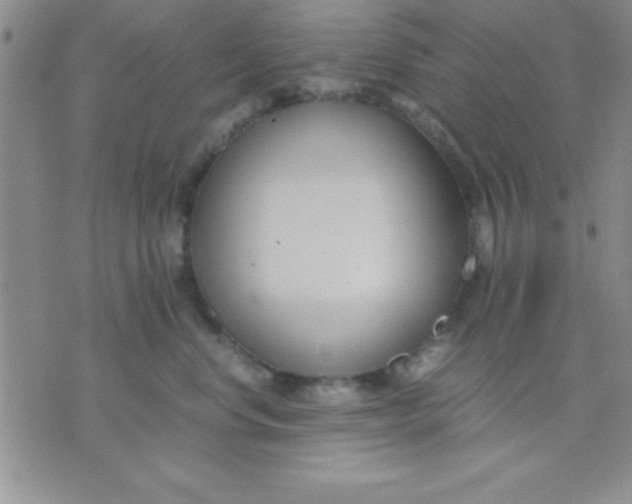 X0000071950668200607282010