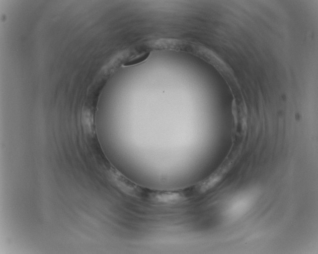 X0000071950669200607282010