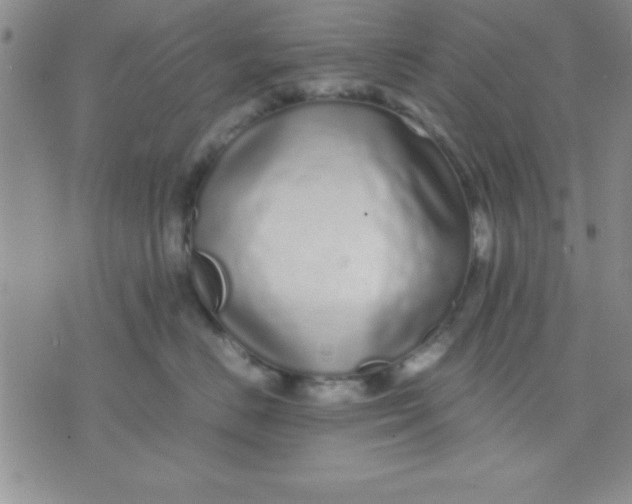 X0000071950670200607282010