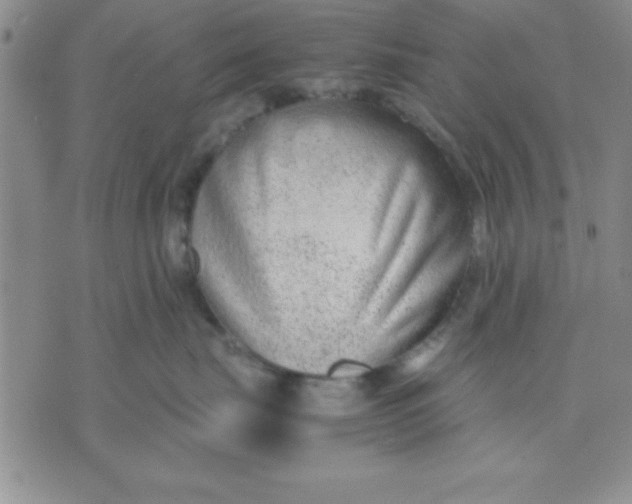 X0000071950671200607282010