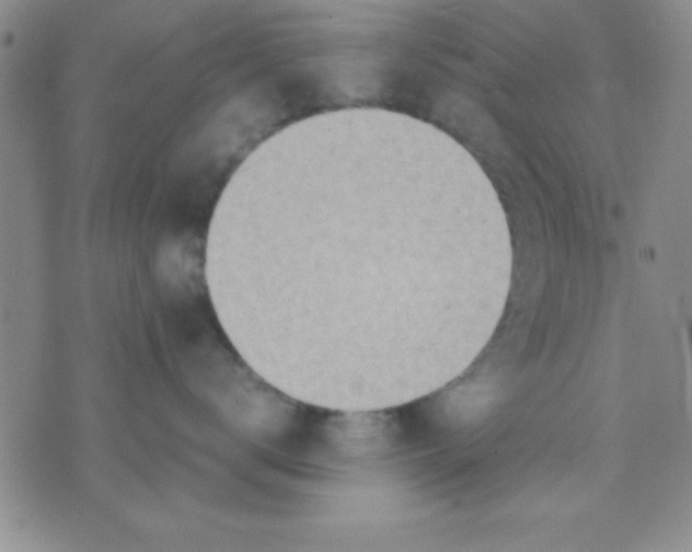 X0000071950672200607282010