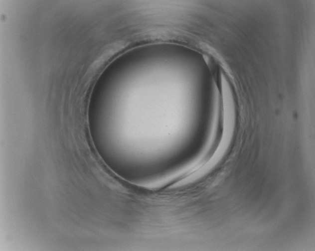 X0000071950673200607282009