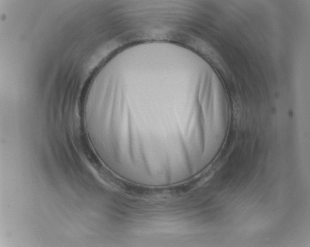 X0000071950674200607282009