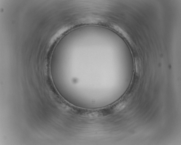 X0000071950675200607282009