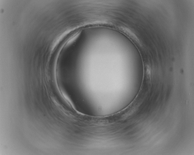 X0000071950676200607282009