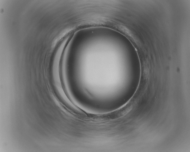 X0000071950677200607282009