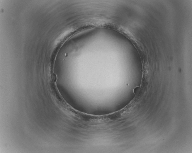 X0000071950679200607282009