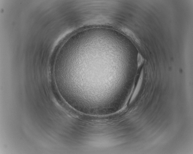 X0000071950680200607282009