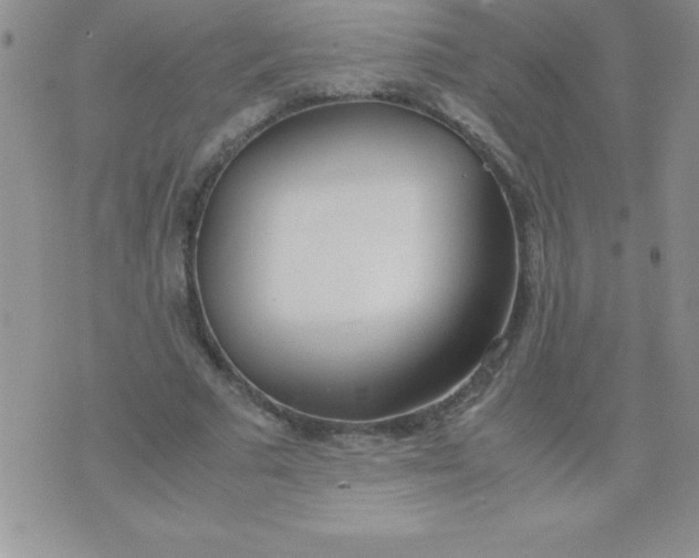 X0000071950681200607282009