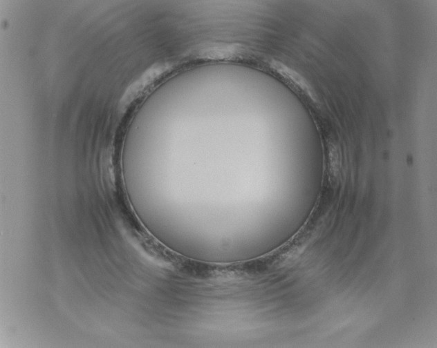 X0000071950682200607282009