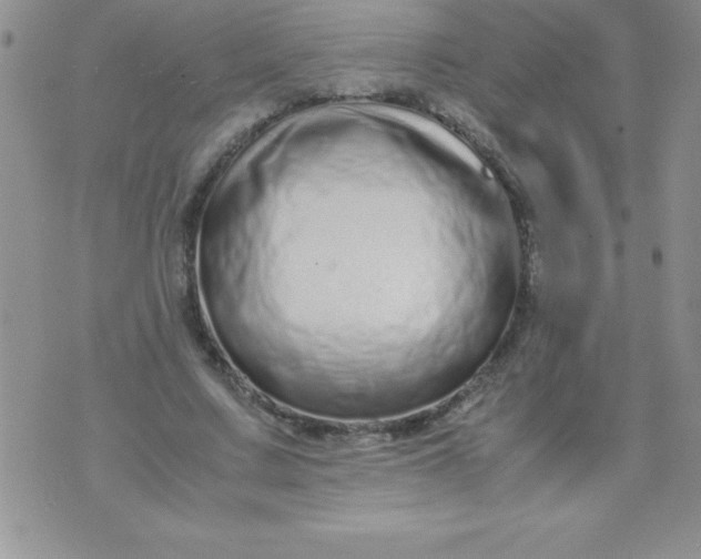 X0000071950683200607282009