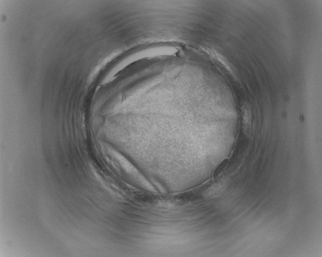 X0000071950684200607282009