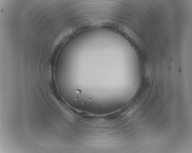 X0000071950685200607282009